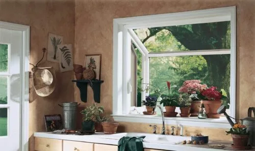 Window Services